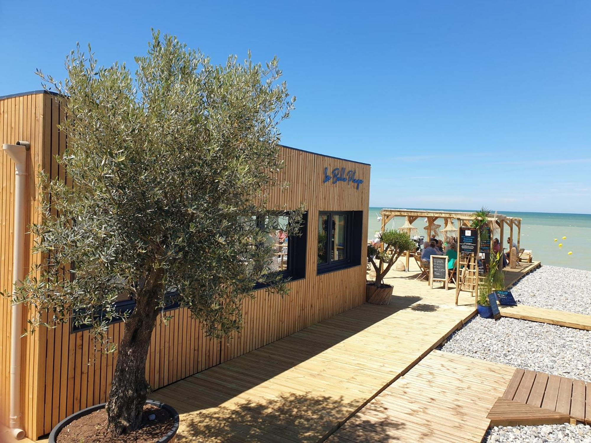 "Le Juguili" 46M2 En Front De Mer - 4 Personnes - Animaux Ok - Entierement Renove - Haut De Gamme - Wifi Mers-les-Bains Bagian luar foto