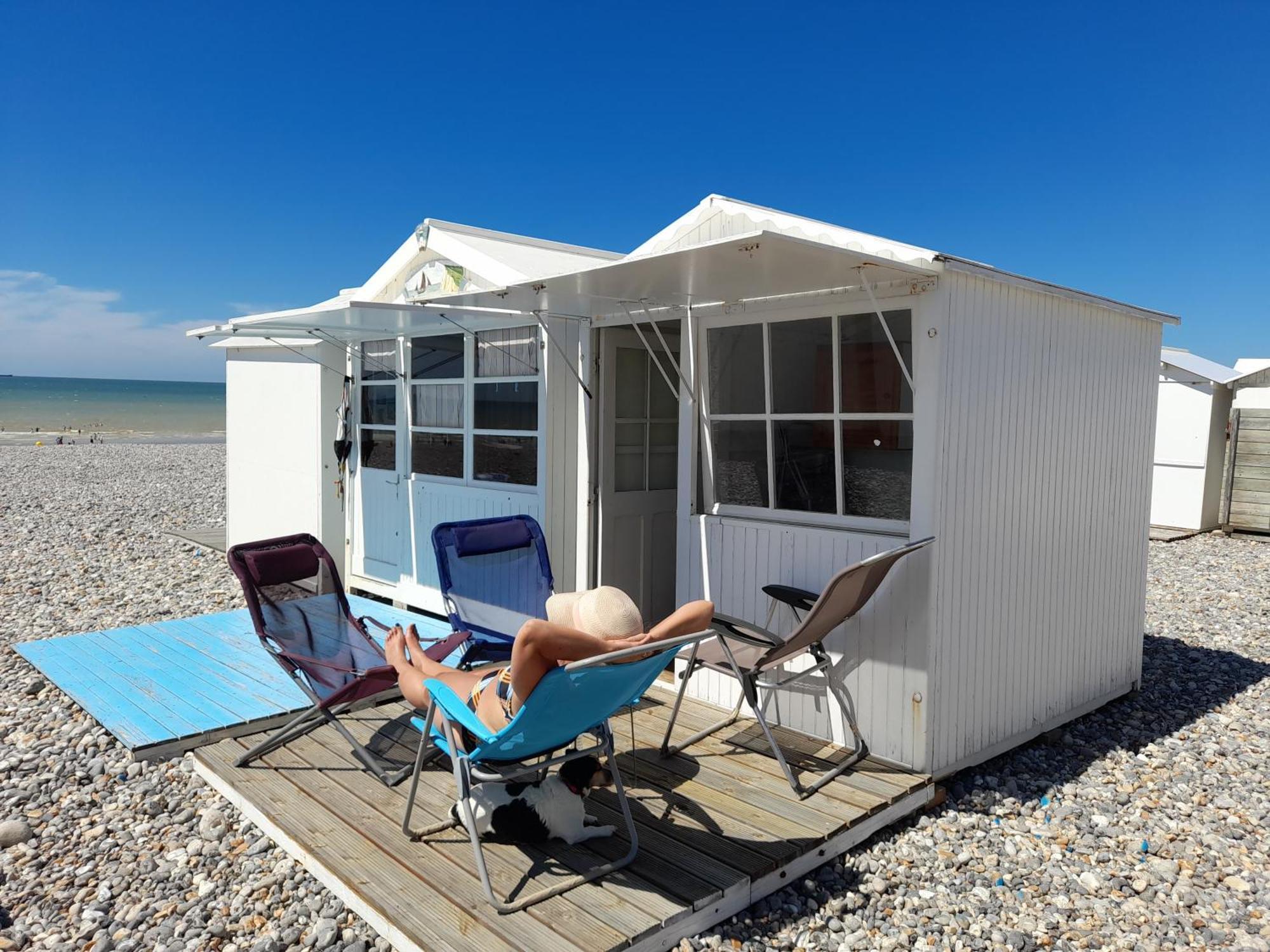 "Le Juguili" 46M2 En Front De Mer - 4 Personnes - Animaux Ok - Entierement Renove - Haut De Gamme - Wifi Mers-les-Bains Bagian luar foto