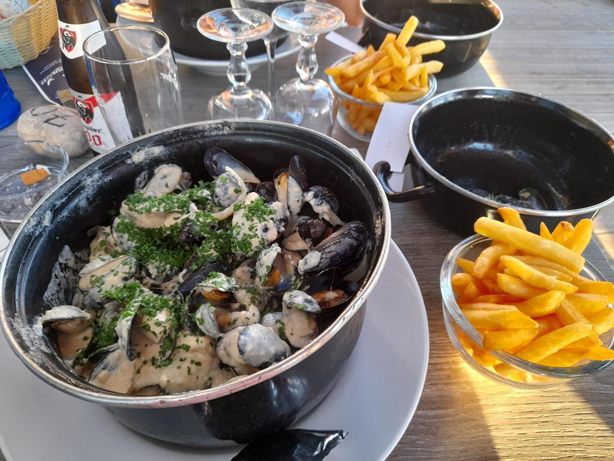 "Le Juguili" 46M2 En Front De Mer - 4 Personnes - Animaux Ok - Entierement Renove - Haut De Gamme - Wifi Mers-les-Bains Bagian luar foto